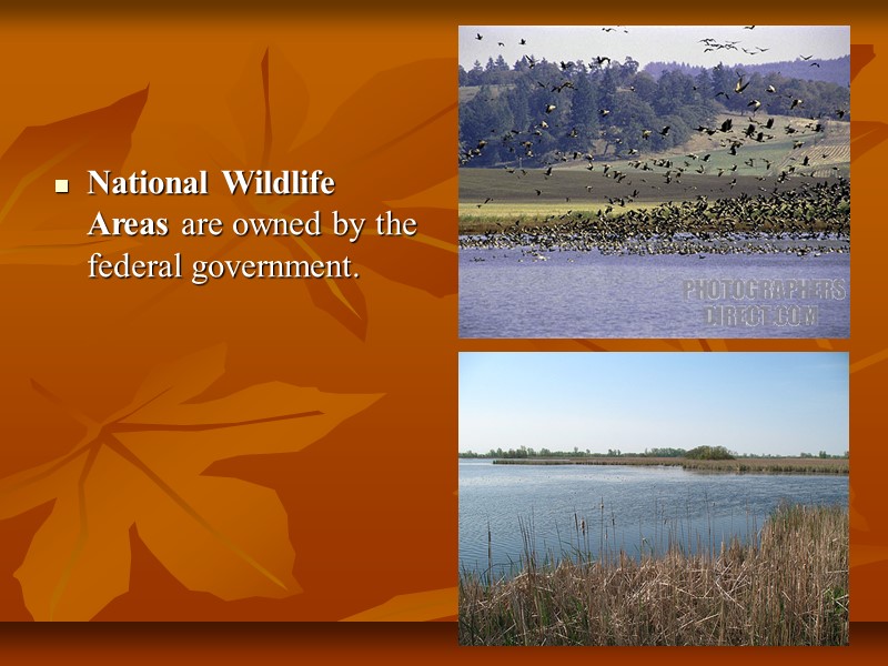 National Wildlife Areas are owned by the federal government.